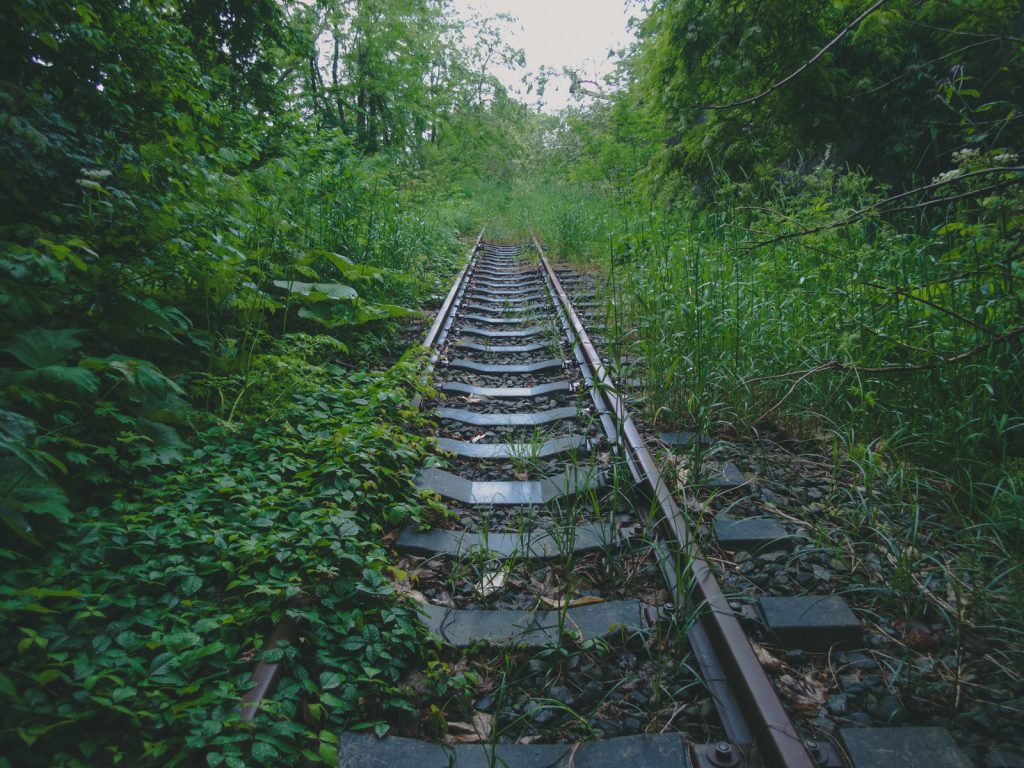 草むらと苔むした線路の画像。